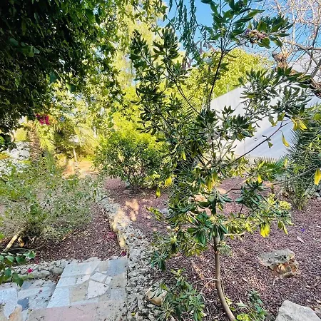 Casa Hebe 17 By Divivir